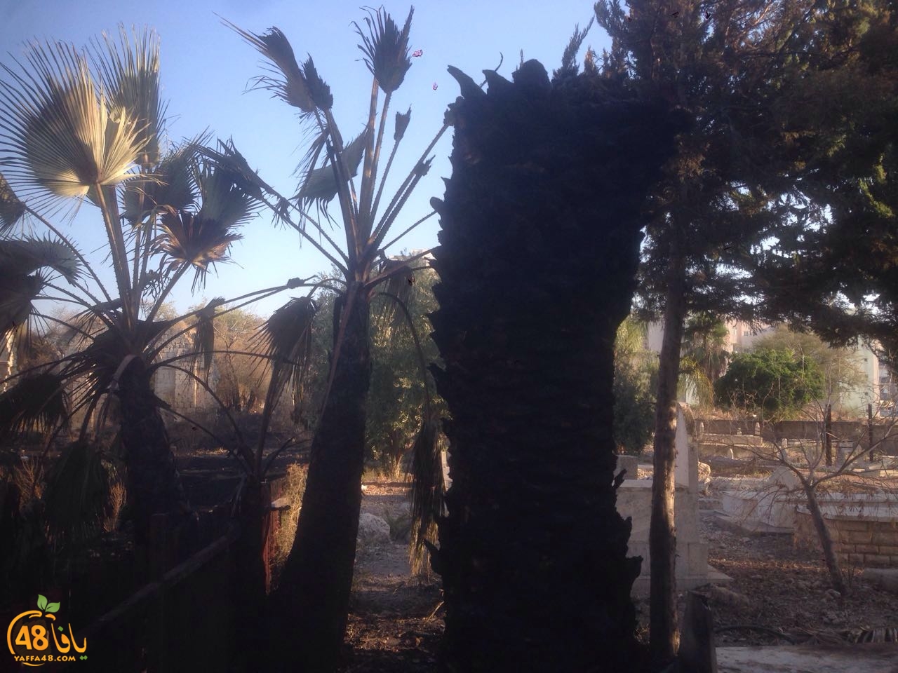 qqbr ramlasj (6).jpg